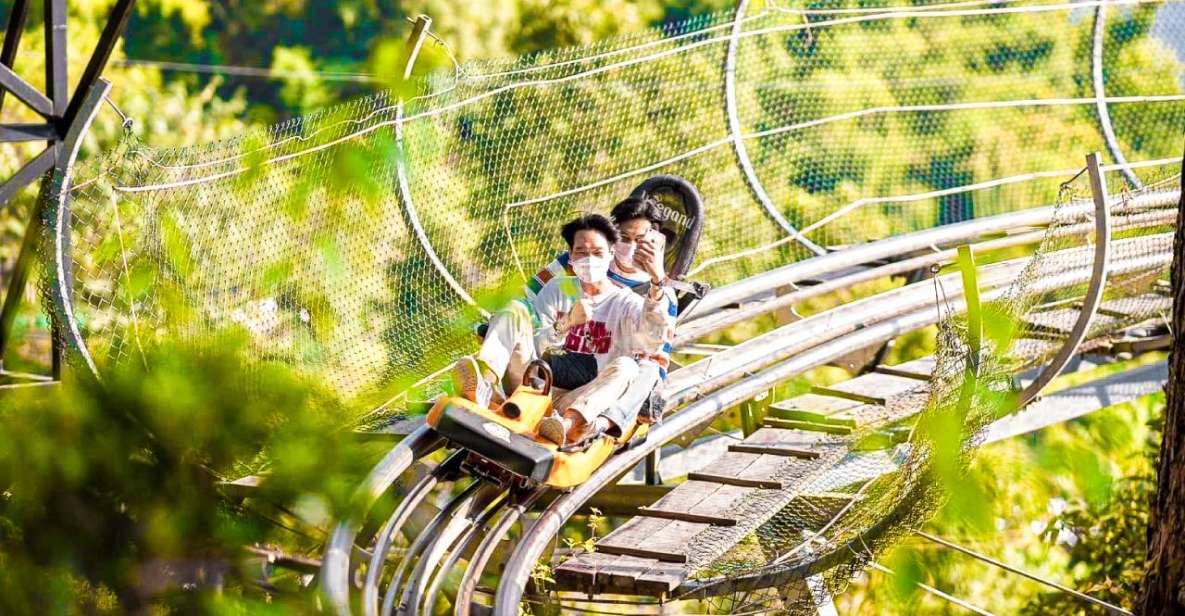 Chiang Mai: Pongyang Jungle Coaster & Zipline - Accessibility and Restrictions