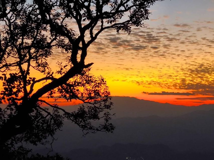 Chiang Mai Sunset Point, Wat Pha Lat, Wat Doi Suthep, Wat Umong - Wat Doi Suthep Visit