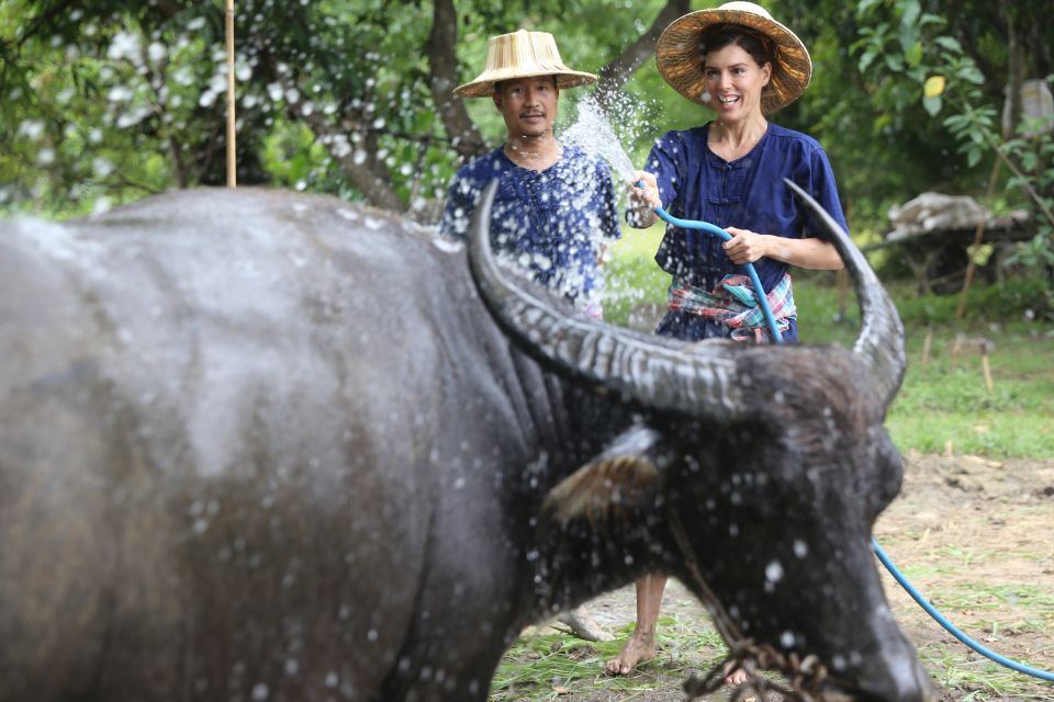 Chiang Mai: Thai Buffalo and Rice Planting Experience - Authentic Lunch and Drinks