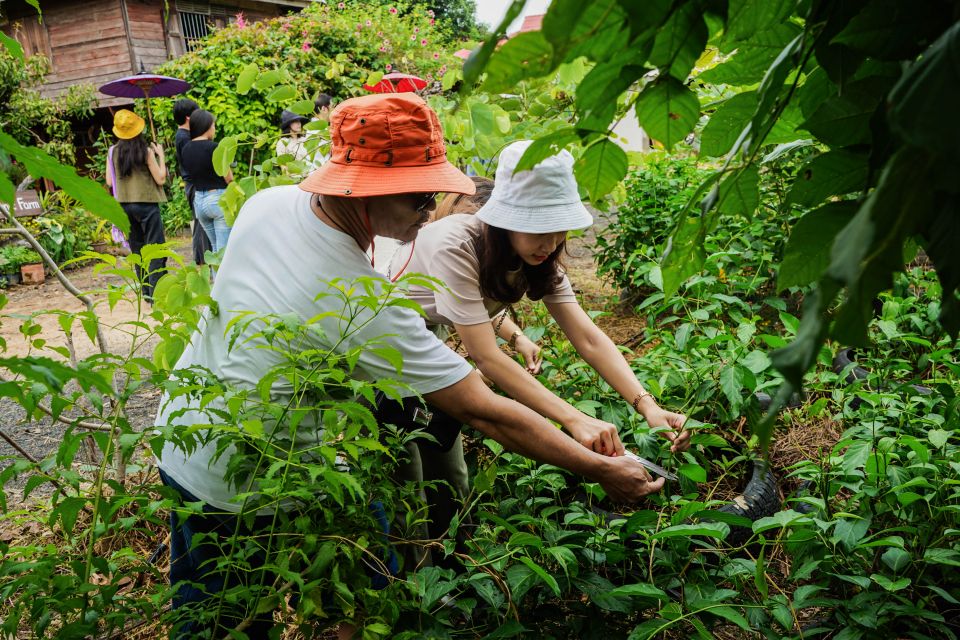 Chiang Mai: Tour of Craft Village at Ban Nam Ton - Inclusions and Exclusions