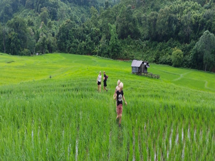 ChiangMai Tour and Trek - Exploring the Karen Village