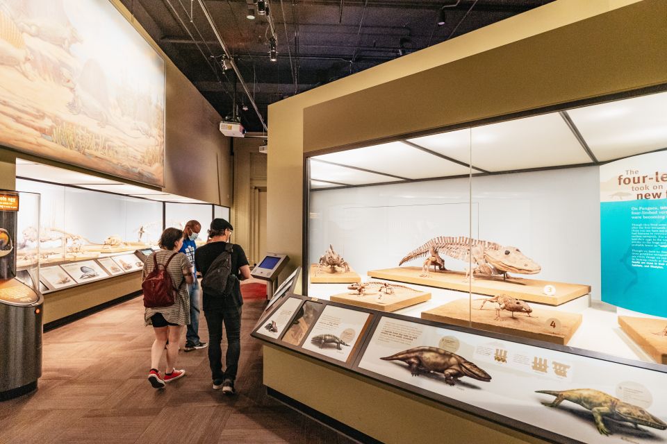 Chicago: Field Museum of Natural History Ticket or VIP Tour - Underground Adventure Exhibit