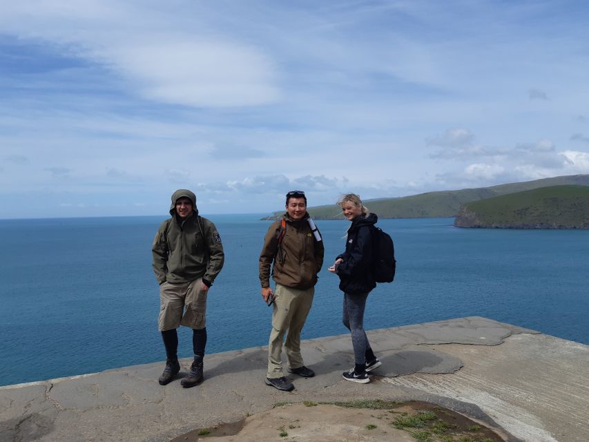 Christchurch: Godley Head & Lyttelton Guided Walking Tour - Customer Review