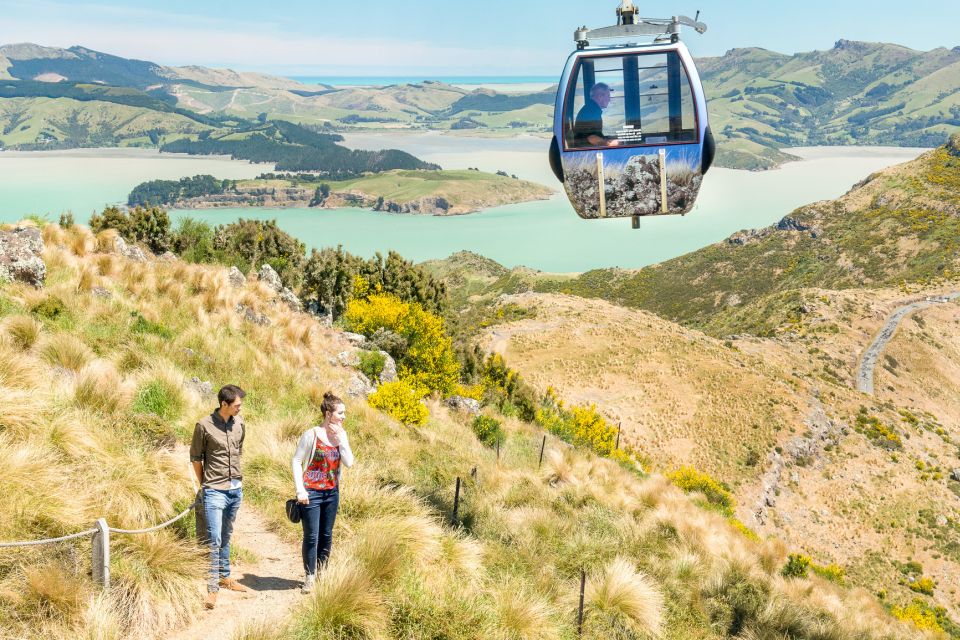 Christchurch: Gondola Ride - Important Information