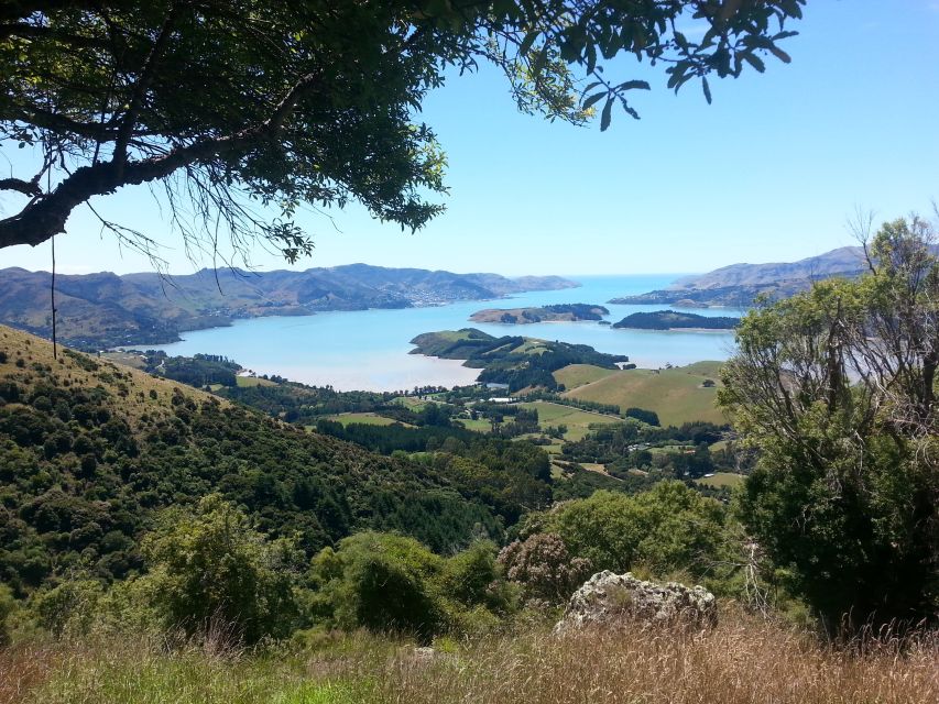 Christchurch: Packhorse Hut Guided Walk and Scenic Drive - Meeting Point