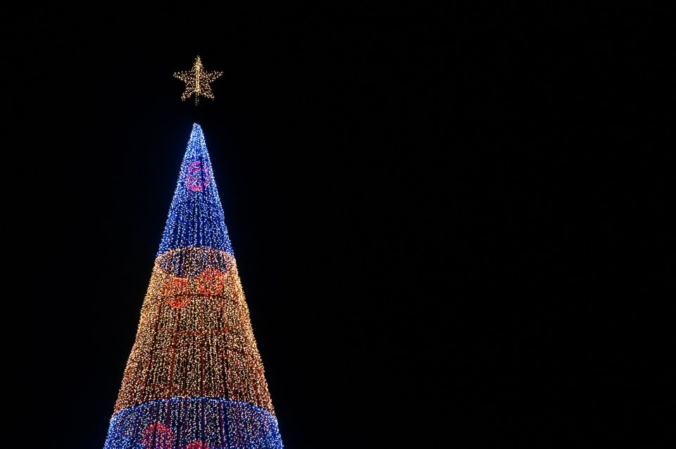 Christmas Lights in Funchal Tuk Tuk Tour - Tour Itinerary