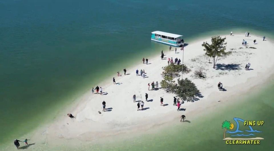 Clearwater Beach: Dolphin and Island Sandbar Boat Tour - Practical Considerations