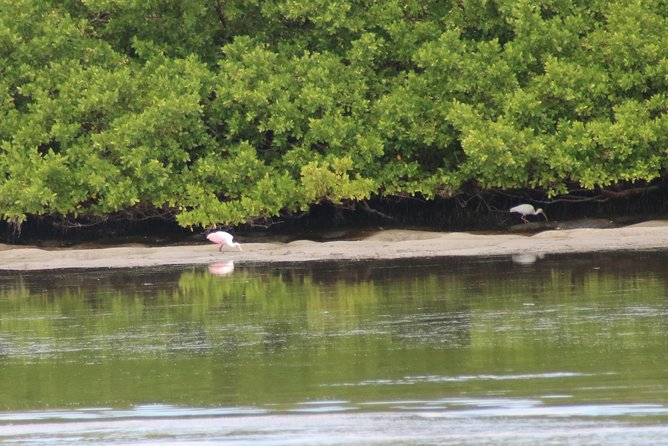 Clearwater Encounters With Dolphins Tour - Frequently Asked Questions