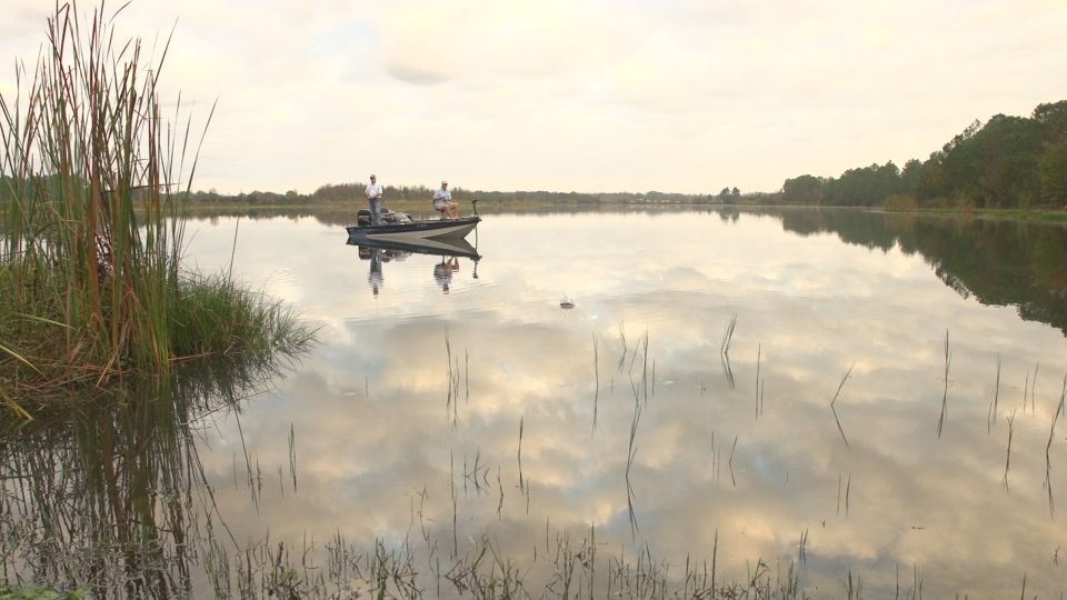 Clermont: Trophy Bass Fishing Experience With Expert Guide - Participant Restrictions and Requirements