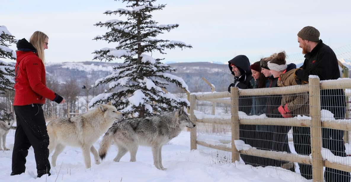 Cochrane: Yamnuska Wolfdog Sanctuary Tour - Sanctuary Self-Guided Walk