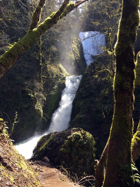 Columbia River Gorge Half-Day Small-Group Hiking Tour - Monolithic Wonder