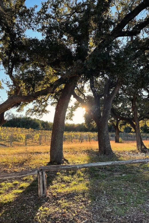 Cost-Effective Texas Hill Country Wine and Brewery Tour - Convenient Meet-Up and Timeline