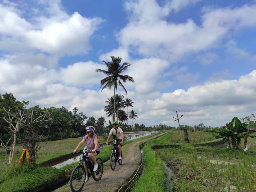 Country Side Electric Bike Tour - Countryside Exploration