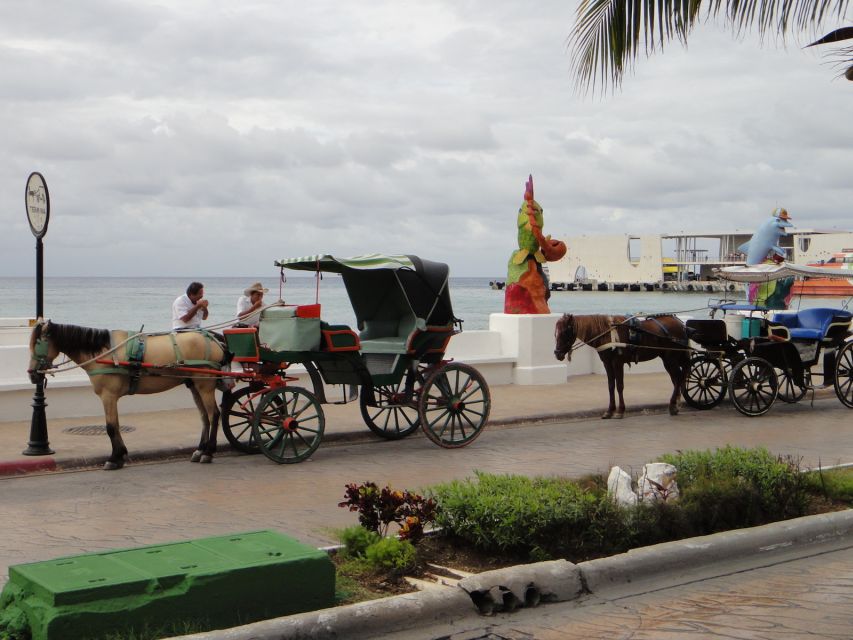 Cozumel Historical Walking Tour With Lunch - Cost and Booking