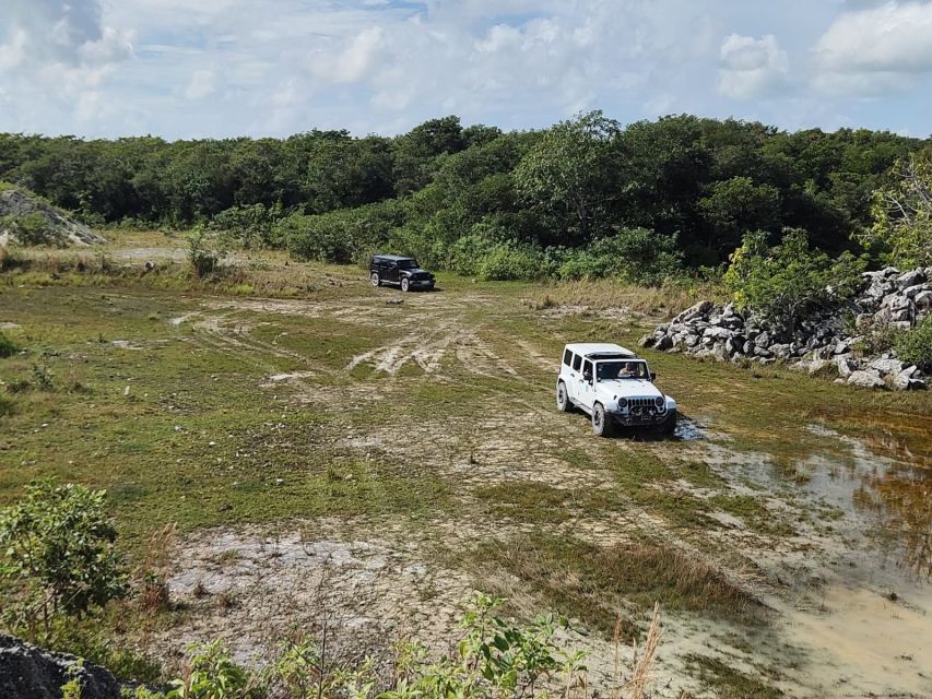 Cozumel: Private Caves and Ruins Tour With Mexican Lunch - Crocodile Hunting at Buenavista Ranch