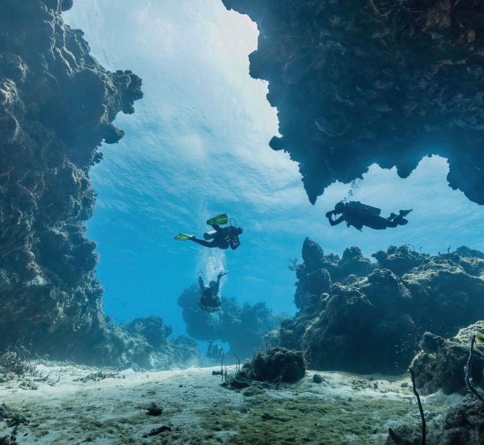 Cozumel Reefs Two Dives From the Boat - Important Restrictions and Recommendations