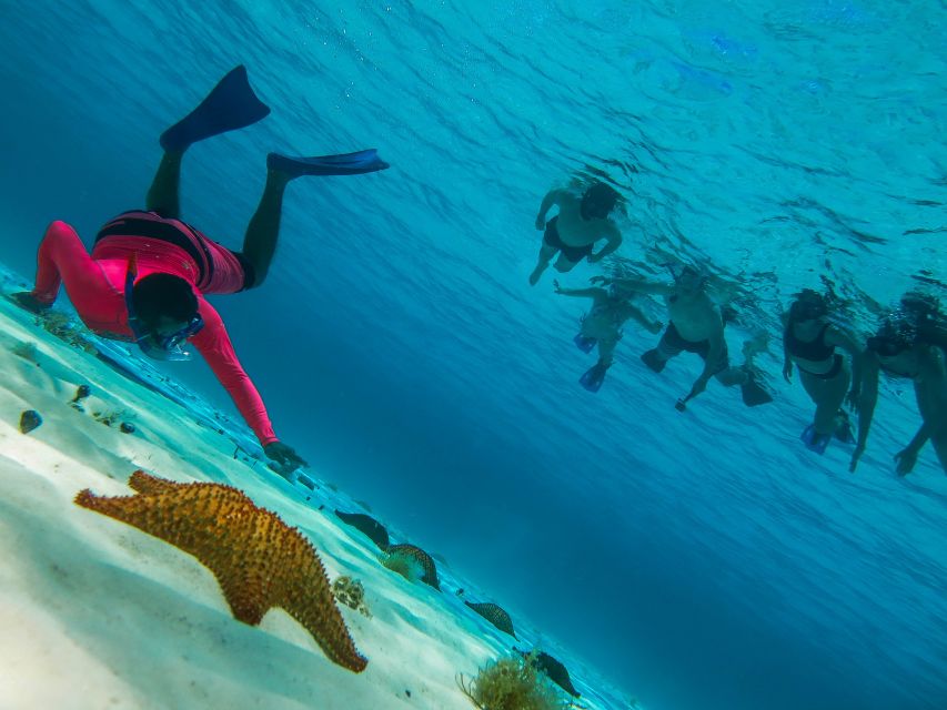 Cozumel: Snorkeling Trip to 3 Reefs by Boat - Packing Recommendations