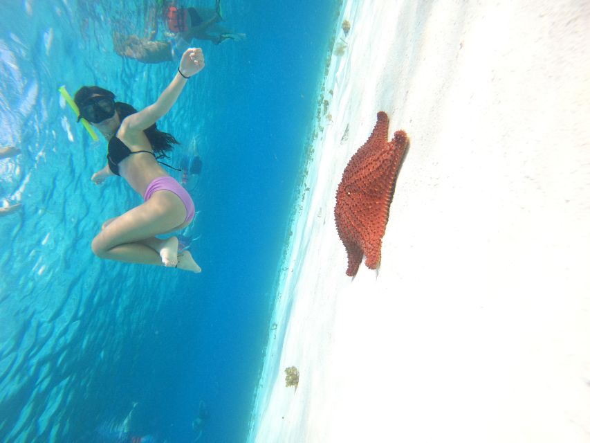 Cozumel: the Starfish Sanctuary Sky - Frequently Asked Questions