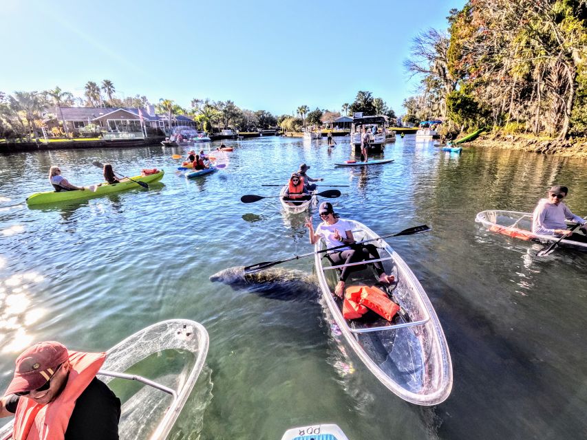 Crystal River: Springs and Manatees Clear Kayak Tour - Meeting Point and Details