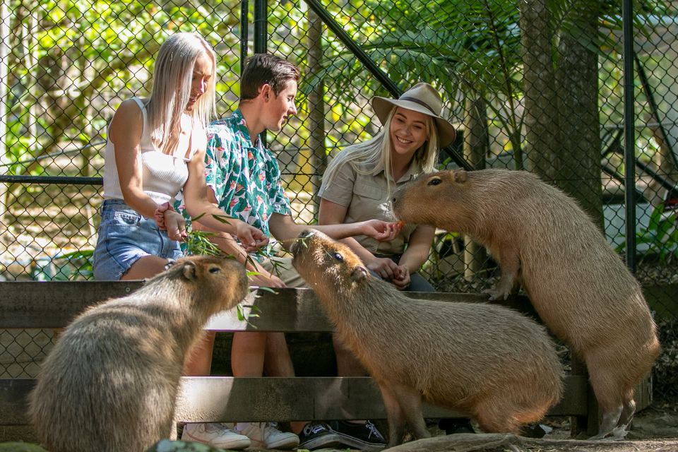 Currumbin Wildlife Sanctuary Ticket & Koala Photo - Customer Reviews and Ratings