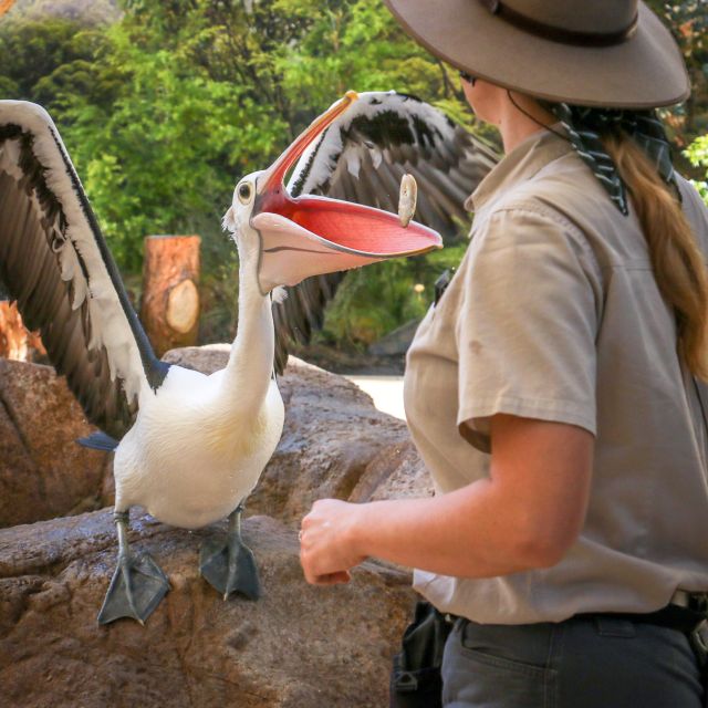 Currumbin Wildlife Sanctuary Ticket - Location and Distance From Surfers Paradise