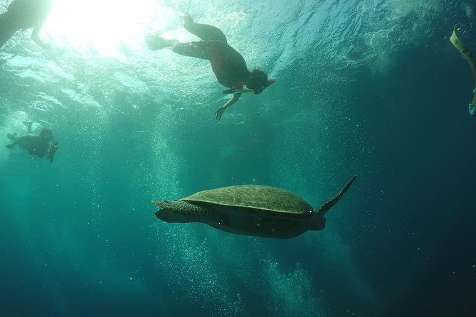 Day Trip to Gili Trawangan, Gili Meno, Gili Air (Depart From Lombok) - Cancellation Policy Details