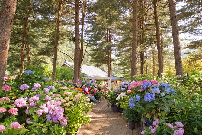 Day Trip to Nami Island With Rail Bike and the Garden of Morning Calm - English/Chinese Speaking Staff