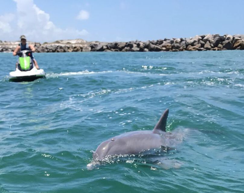 Destin: Crab Island Dolphin Watching Jet Ski Tour - Cancellation