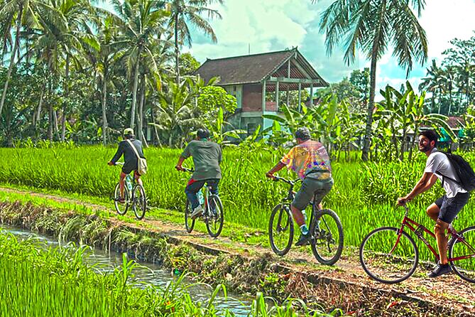 Discover Battambang Local Livelihoods on a Half-Day Bicycle Tour - Accessibility Information