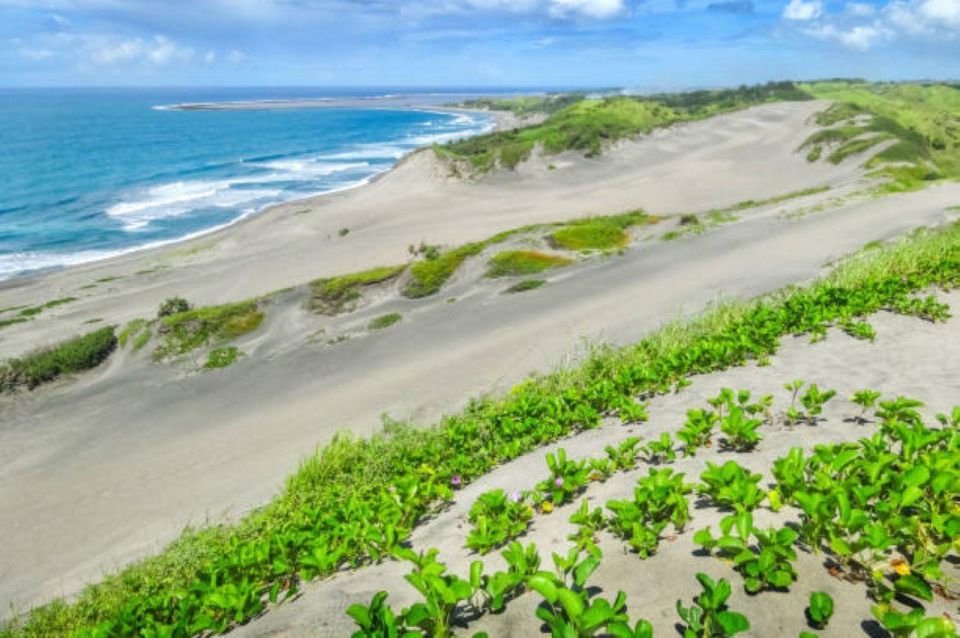 Discover Fijian Culture and Reptiles - Tappoo Sigatoka Shop