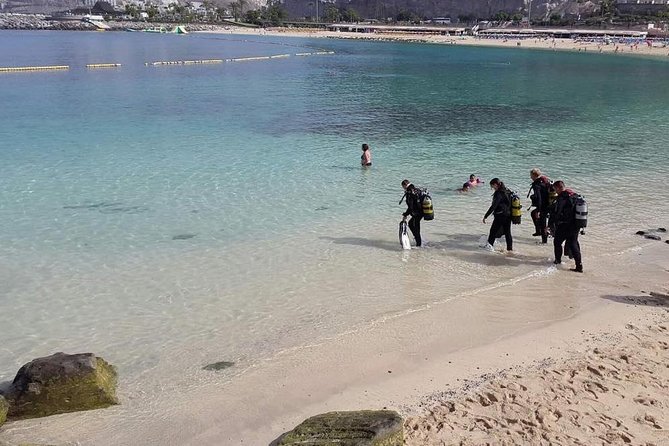 Discover Scuba Diving in Gran Canaria With Hotel Pick-Up - Dive Depth and Safety