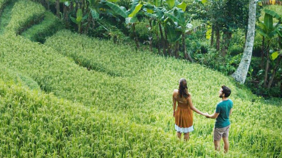 Discover Ubud: Tailored Private Tour With Top Highlight - Importance of Personalization