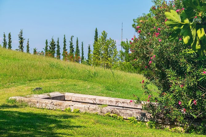 Discover Vergina and Pella: Day Trip to Macedonian Kingdom - Inclusions and Amenities