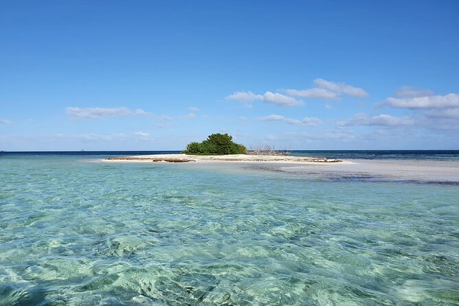 Discovery by Boat of the Mangrove and Its Lagoon in 7 Stages Including 4 Swimming - Lagoon Exploration