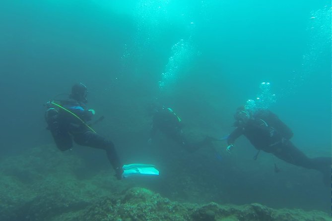 Diving for Patented Divers - Highlights of the Experience