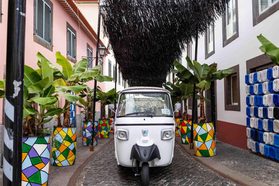 Do Funchal - Câmara De Lobos Fishing Village Tuk Tuk Tour - Tips for Your Tour