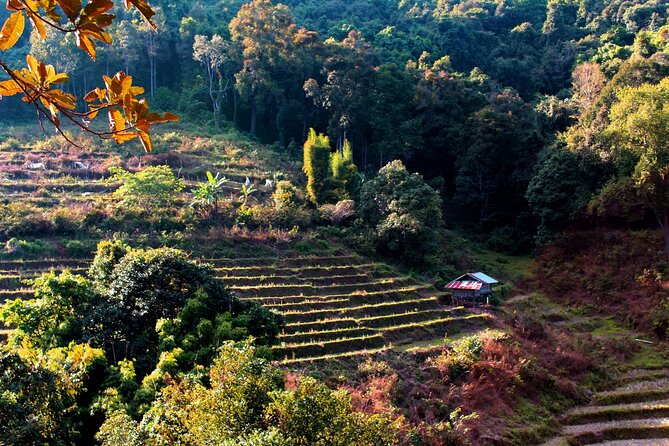 Doi Inthanon National Park, Waterfall & Royal Project Day Tour From Chiang Mai - Cancellation Policy