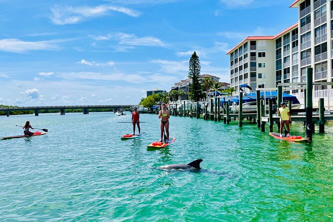 Dolphin and Manatee Adventure Tour of Fort Myers - Additional Information and Policies