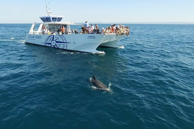 Dolphin Search - Dolphin Quest - Accessibility and Transportation Options
