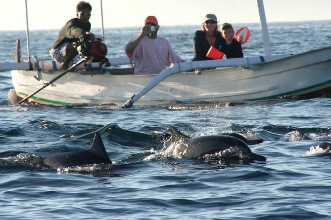 Dolphin Tour and Sunrise Watching in Lovina Beach - All Inclusive - Glass-bottom Boat and Private Tour