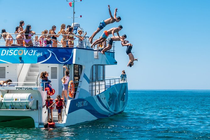 Dolphin Watching Half-Day Cruise From Lagos - Dolphin Watching Experience