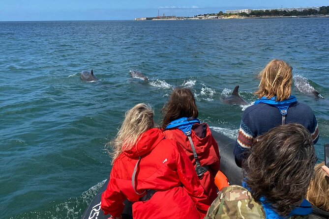 Dolphin Watching in Lisbon - Meeting Point and Directions