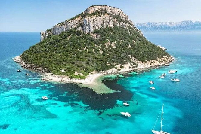 Dolphin Watching Tour With Snorkeling From Olbia - Scenic Boat Tour