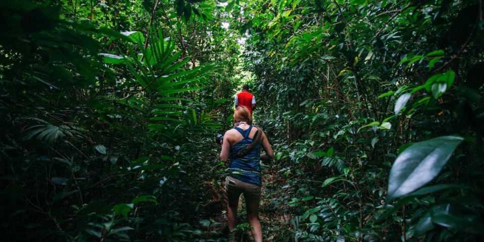 Dominica Hiking Adventures - What to Bring for the Hike