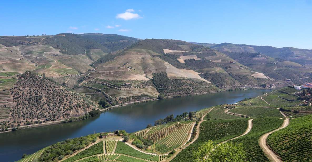 Douro Valley: Douro Valley Tour Including 3 Wineries - Tour Experience