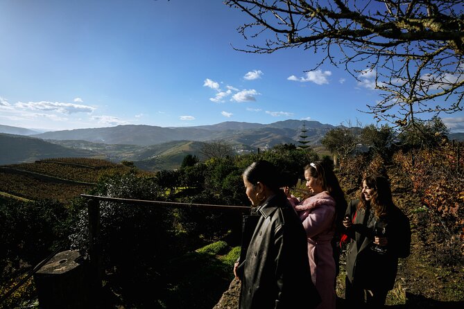 DOURO VALLEY in 8 Pax Groups W/ 2 Wineries, Lunch and 1h Cruise - Traveler Capacity