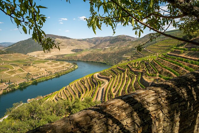 Douro Valley Private Tour (All Inclusive) - Douro River Boat Trip