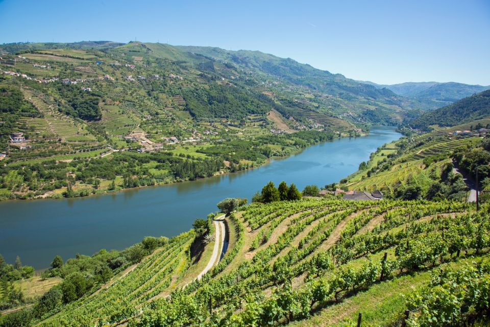 Douro Valley Wine Tasting From Porto - Vilarinho De São Romão Visit