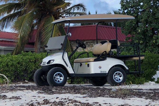 Drive GDT - Golf Cart Rentals - Fuel and Roadside Assistance