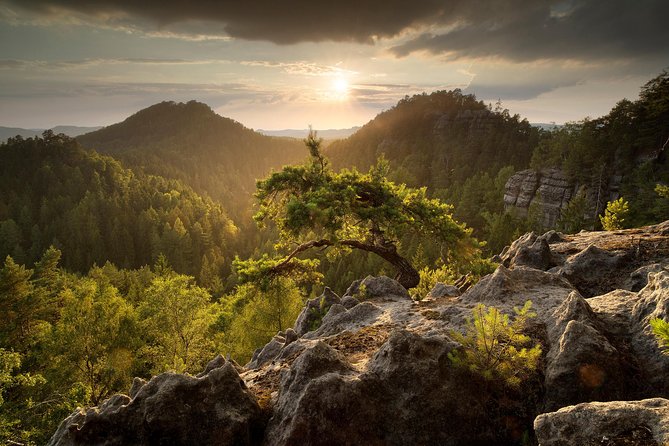 Elbe Canyon & Narnia Movie Locations Day Trip - Exploring Elbe Sandstones Natural Reserve